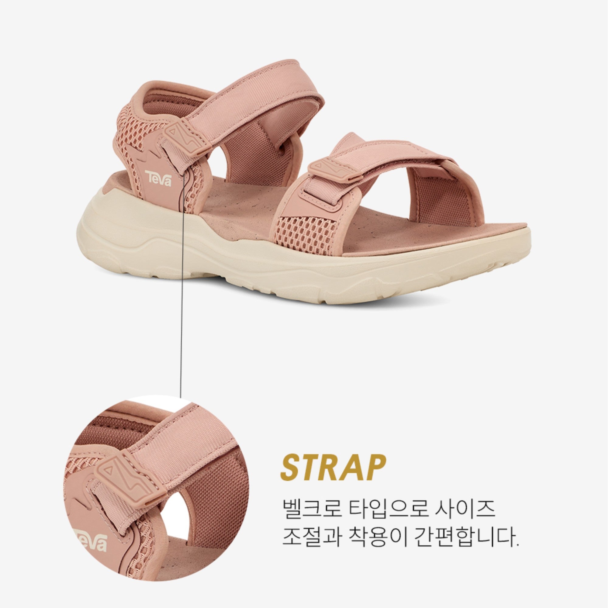 자이믹 (MAPLE SUGAR)