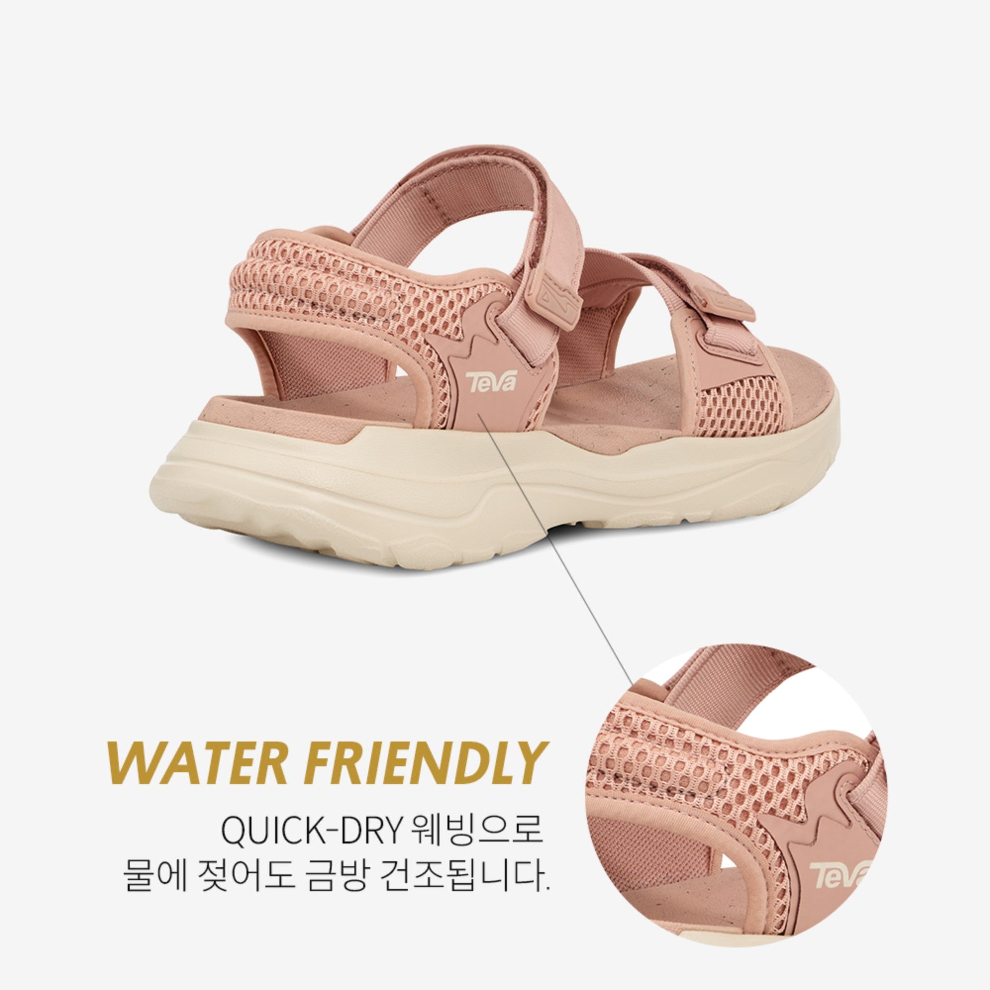자이믹 (MAPLE SUGAR)