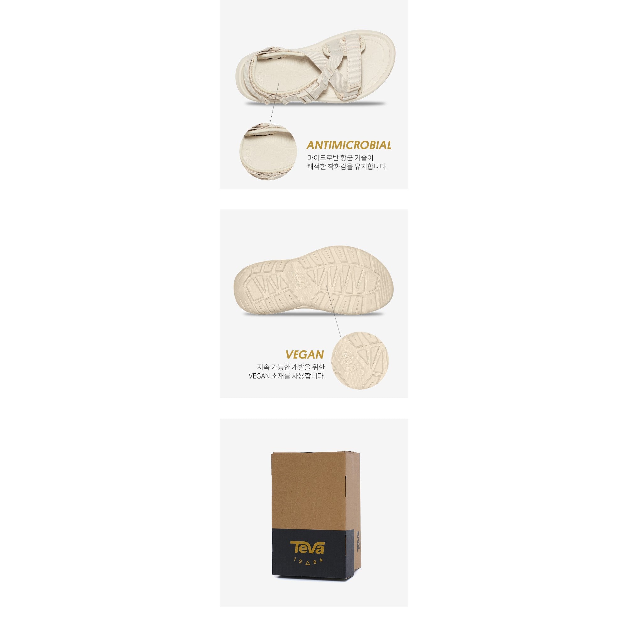 허리케인 버지 (BIRCH)