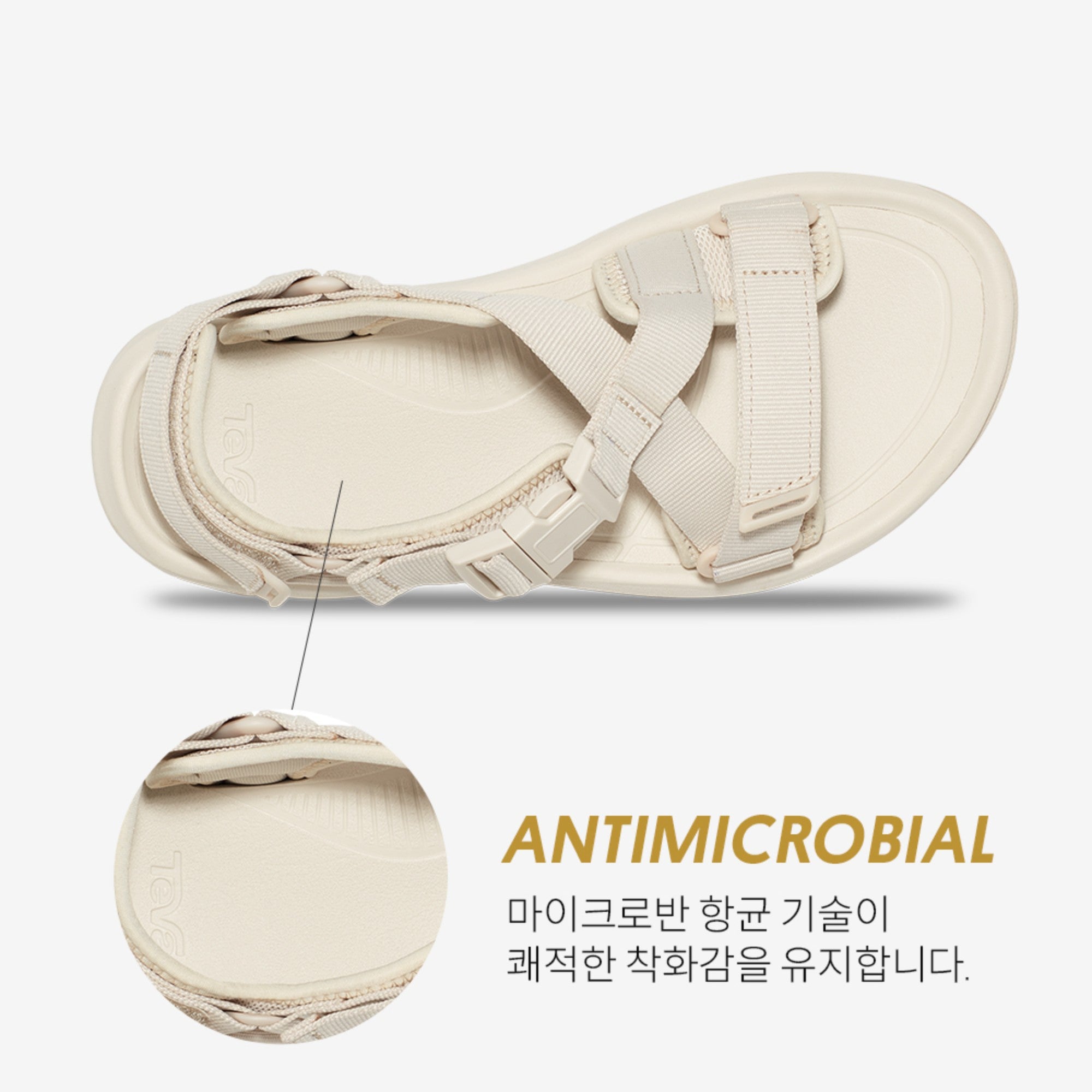 허리케인 버지 (BIRCH)