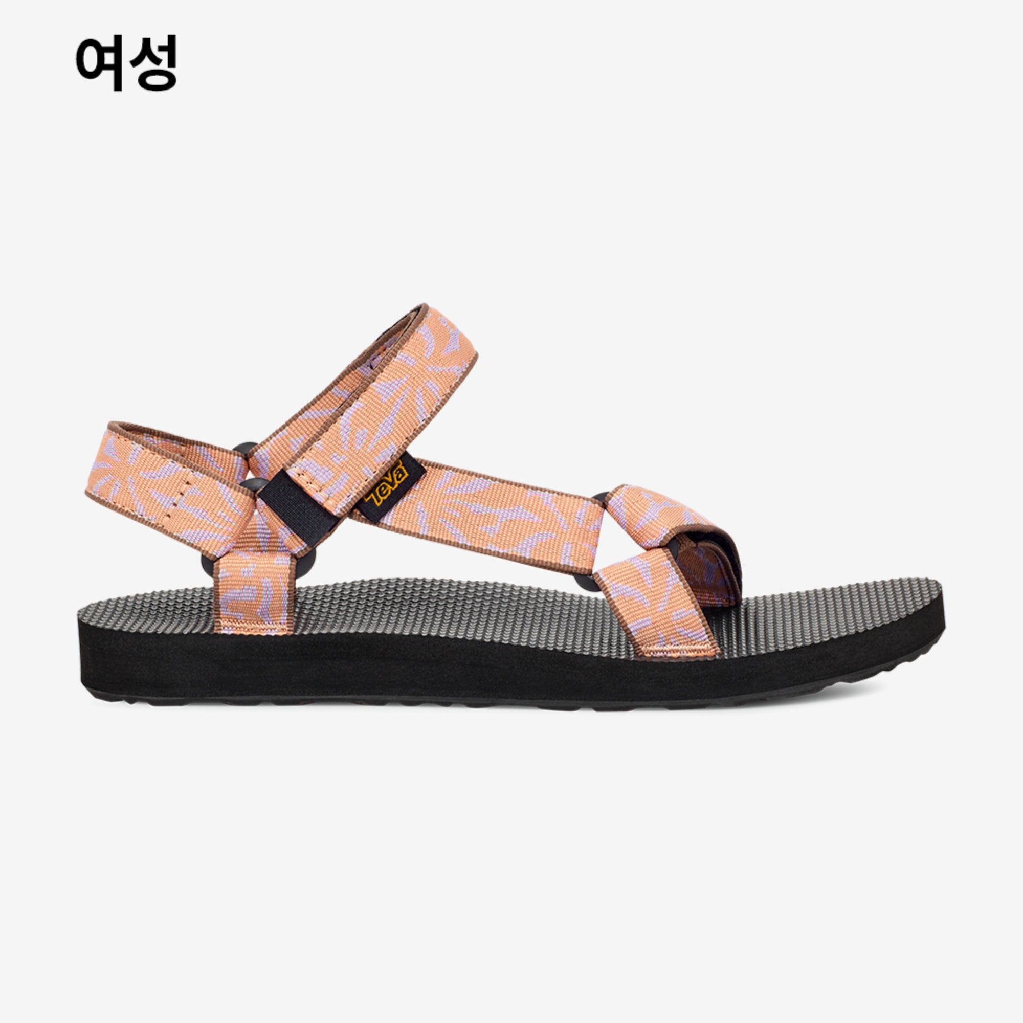 오리지널 유니버설
