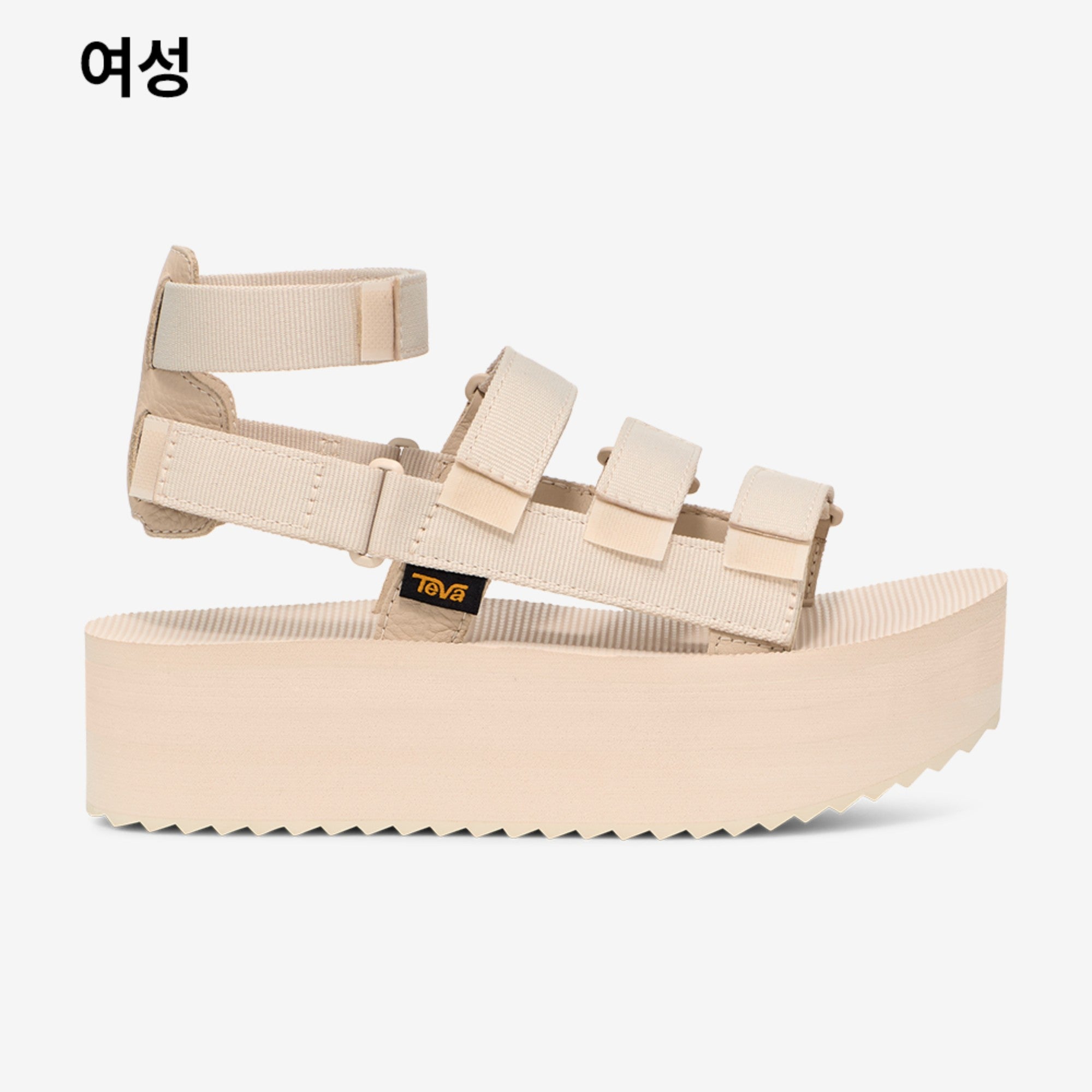 플랫폼 메비아 (BIRCH)