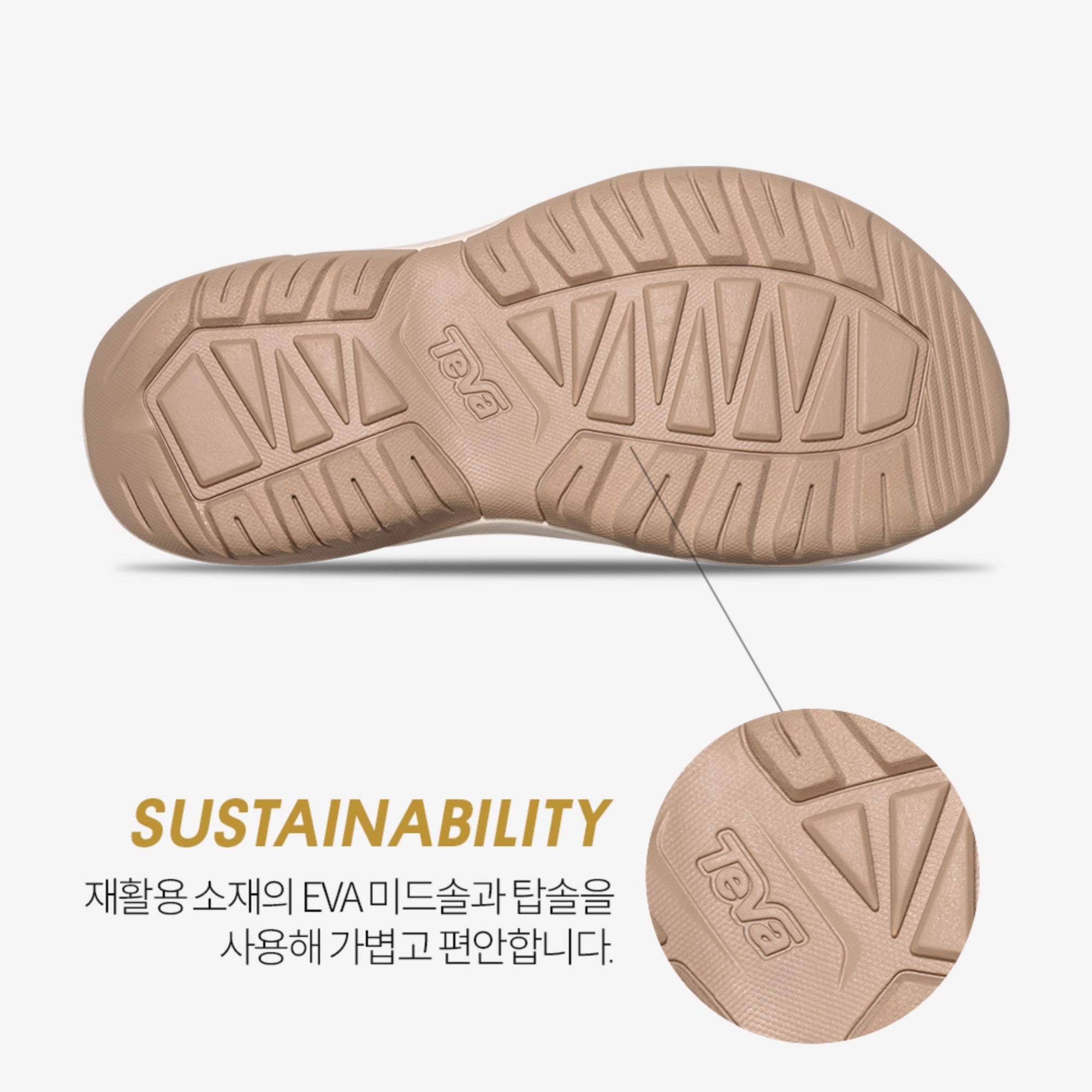 허리케인 테라 닥틸 (BIRCH)