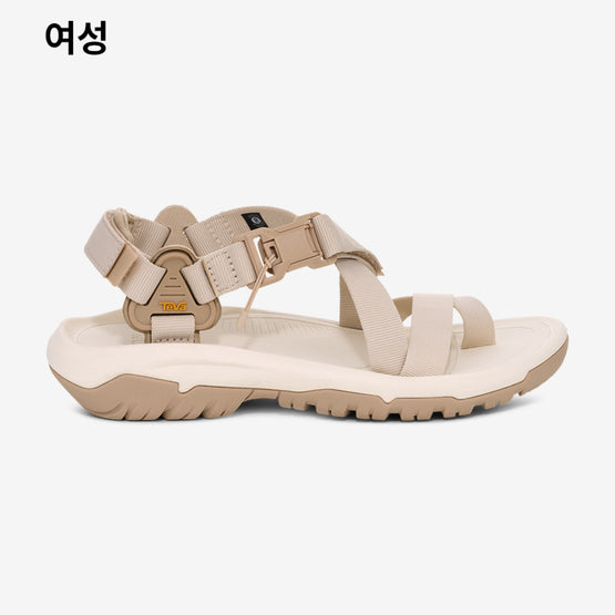 허리케인 테라 닥틸 (BIRCH)