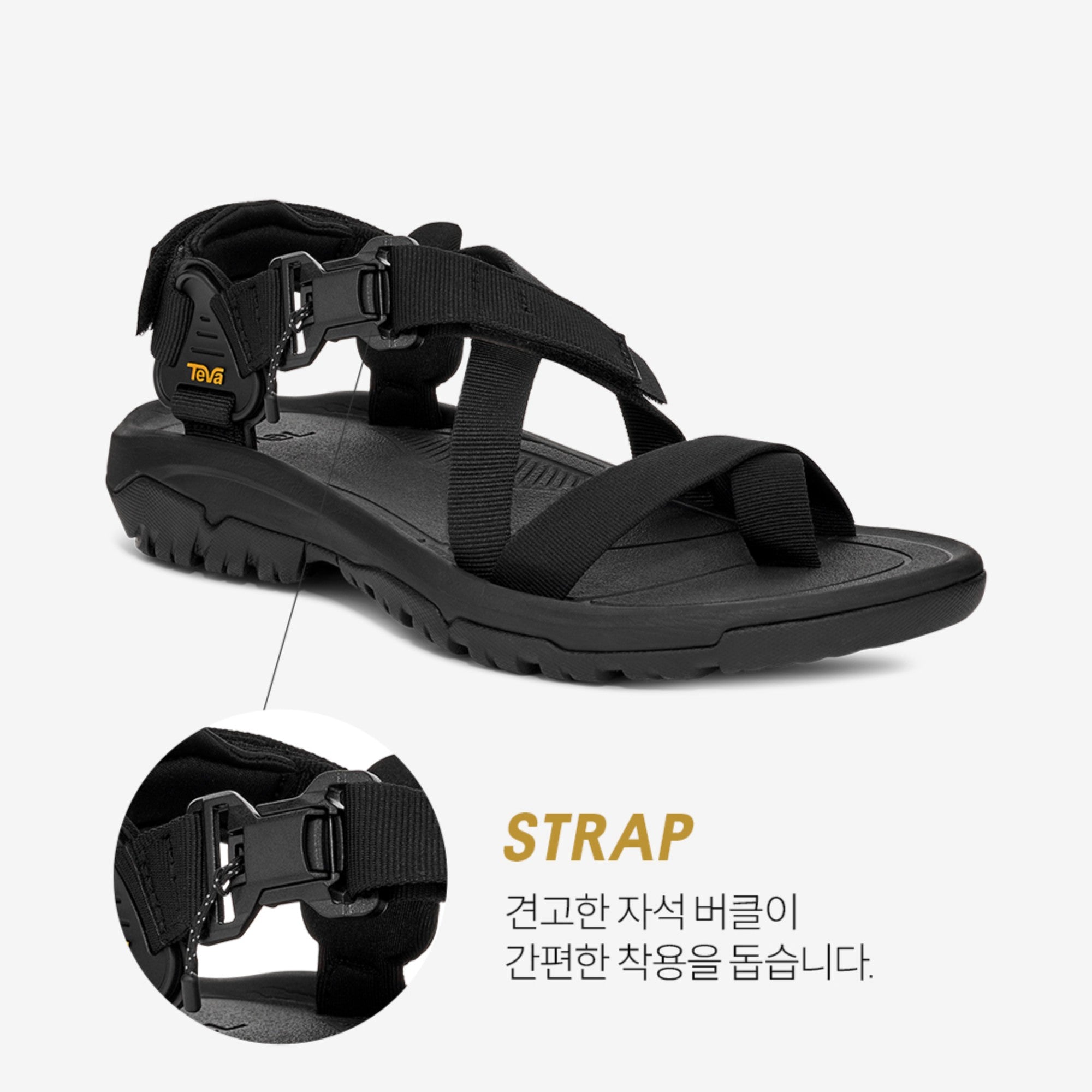 허리케인 테라 닥틸 (BLACK)