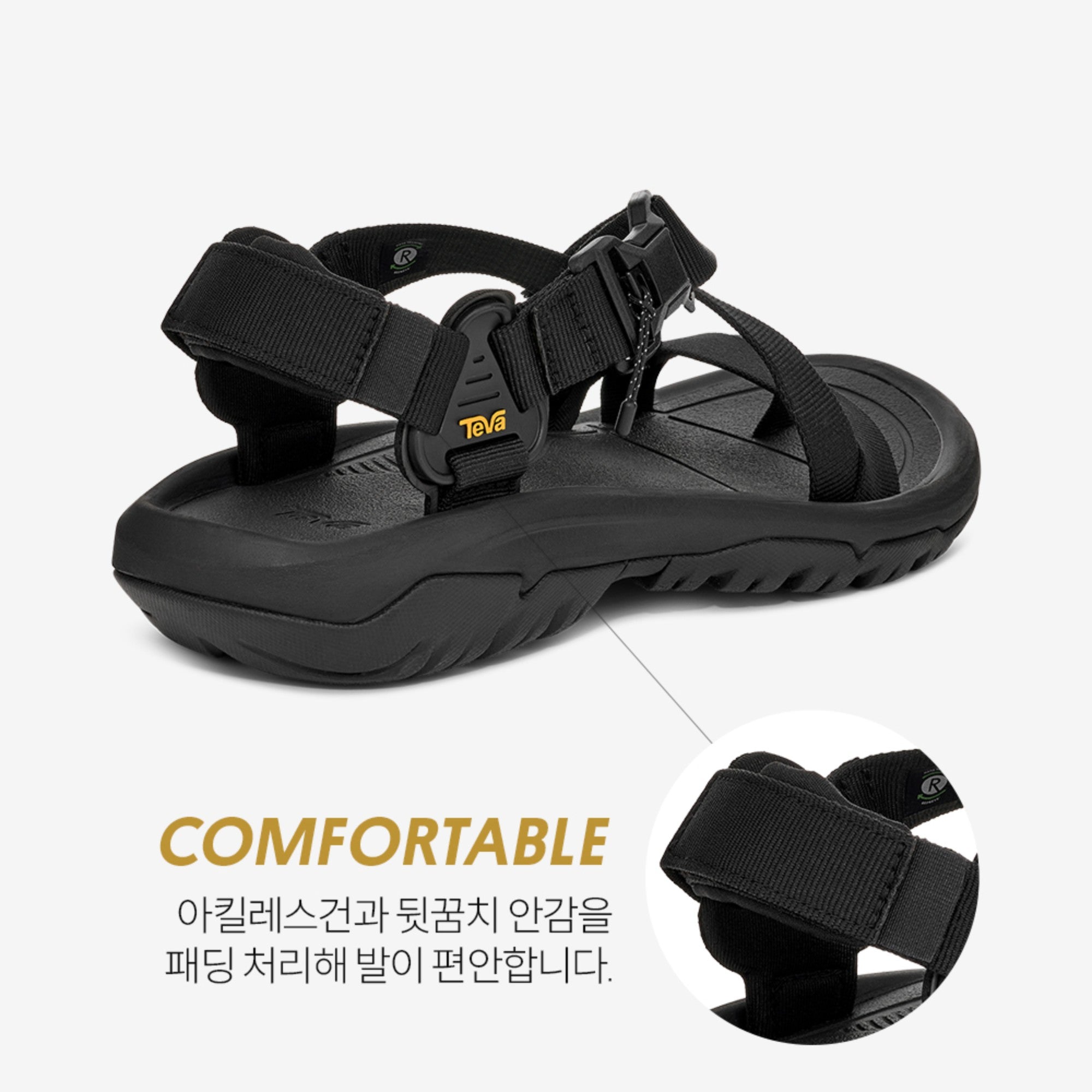 허리케인 테라 닥틸 (BLACK)