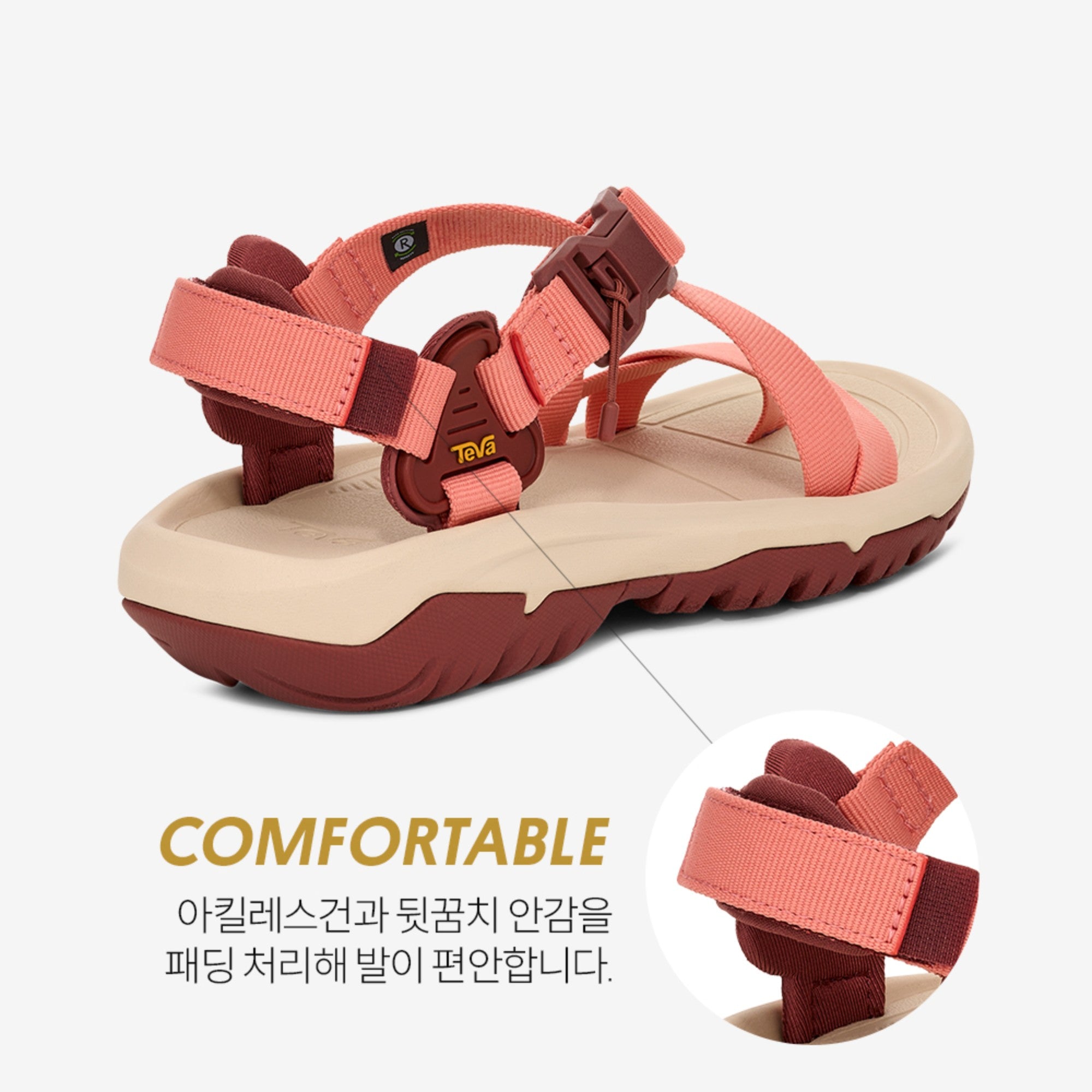 허리케인 테라 닥틸 (MAHOGANY)
