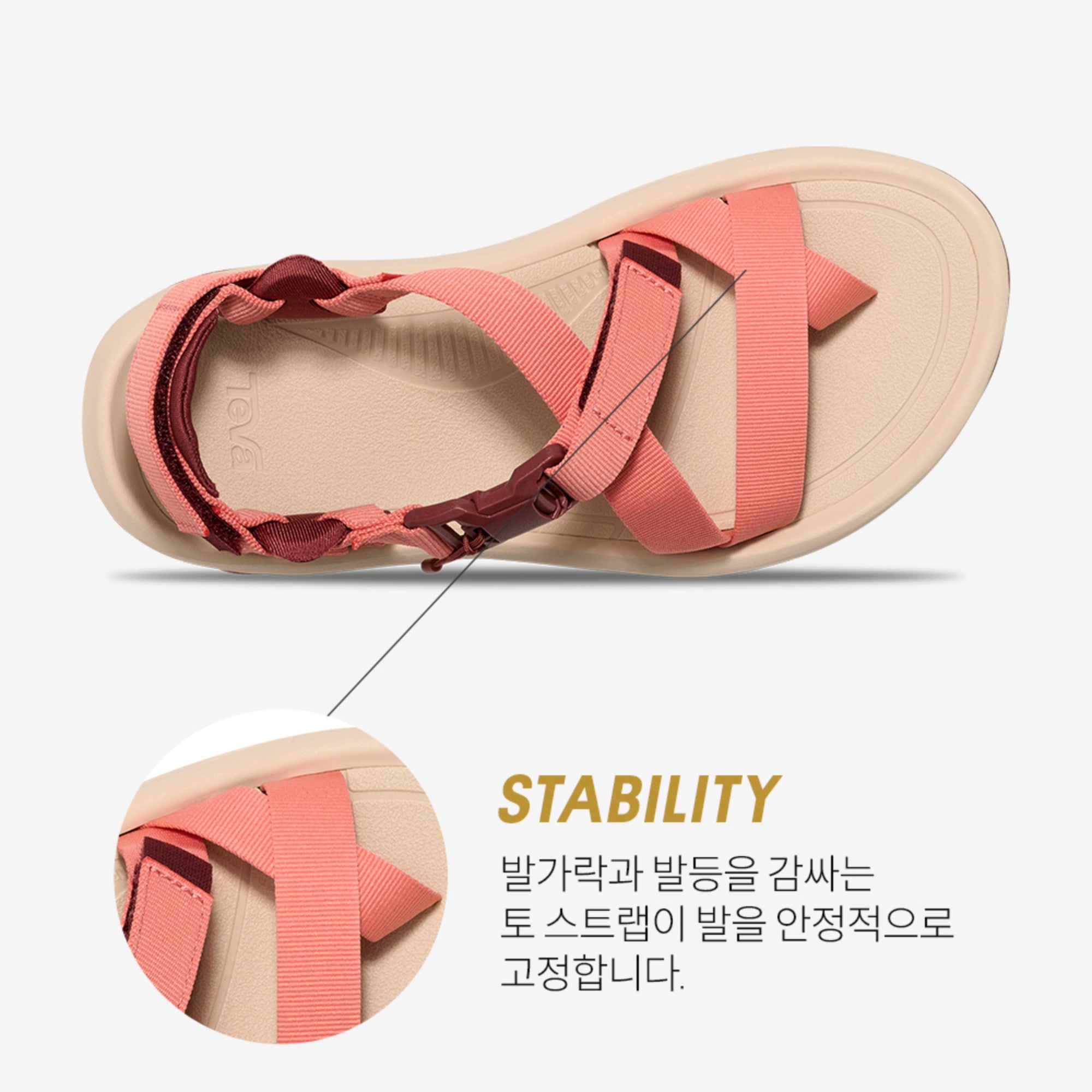 허리케인 테라 닥틸 (MAHOGANY)