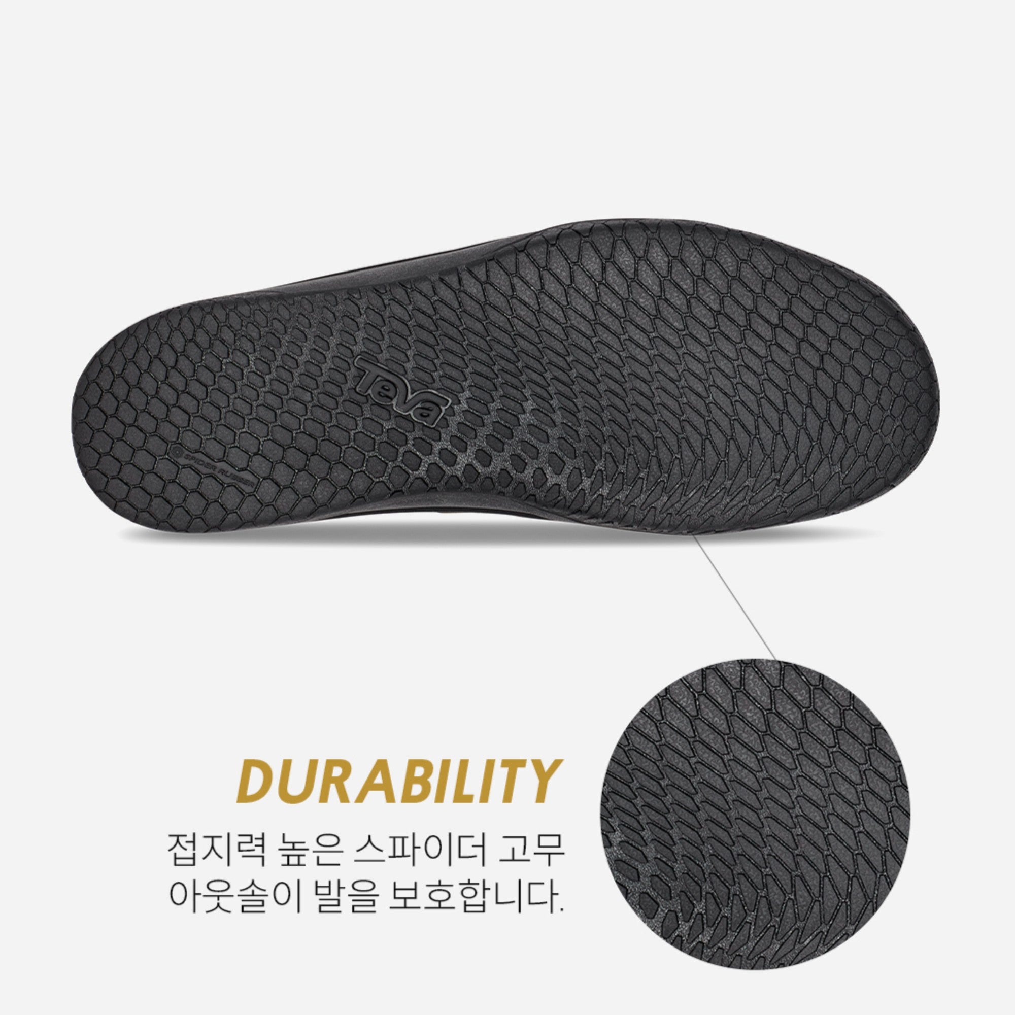 테라 캐년 (OLIVE)