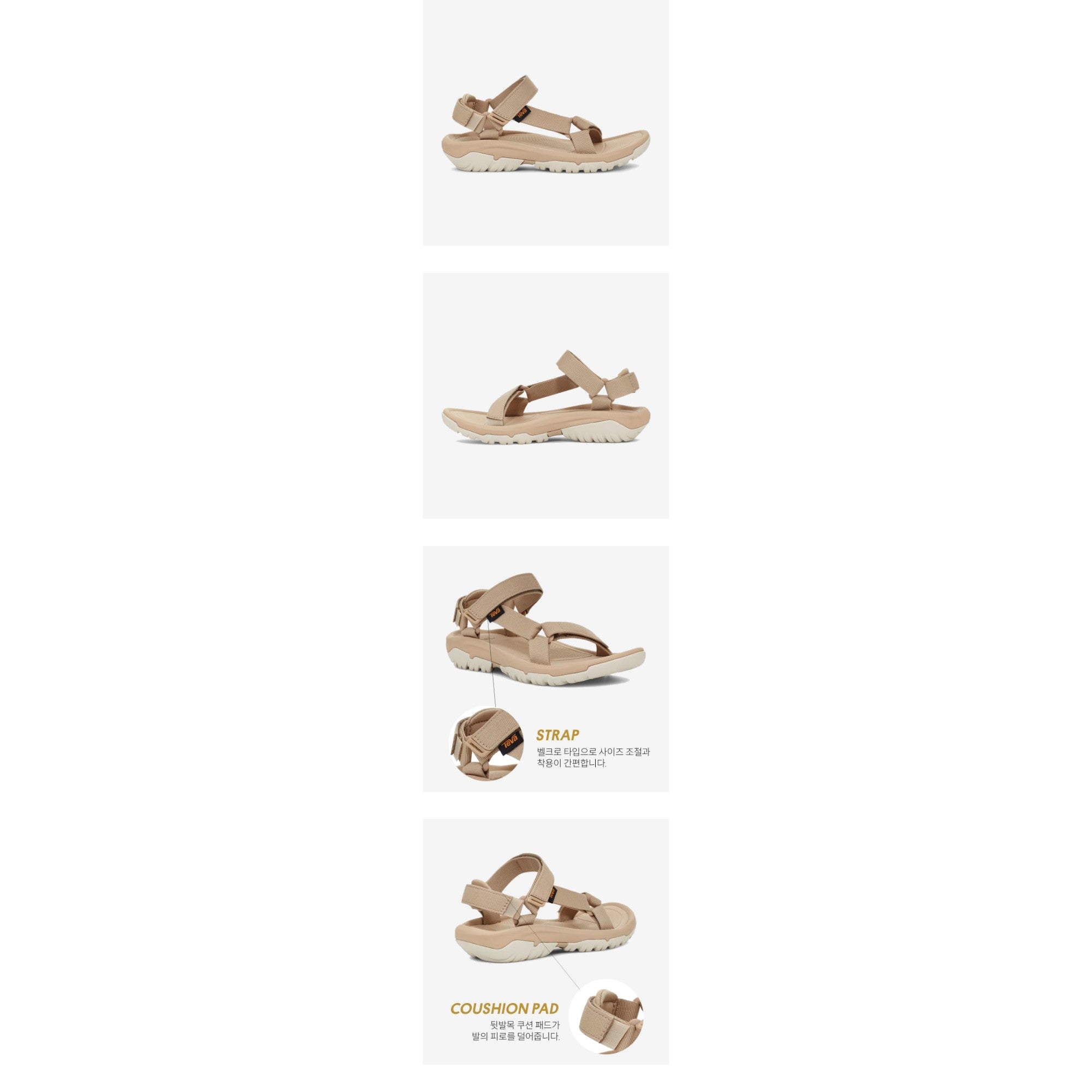 허리케인 XLT2 (SESAME)