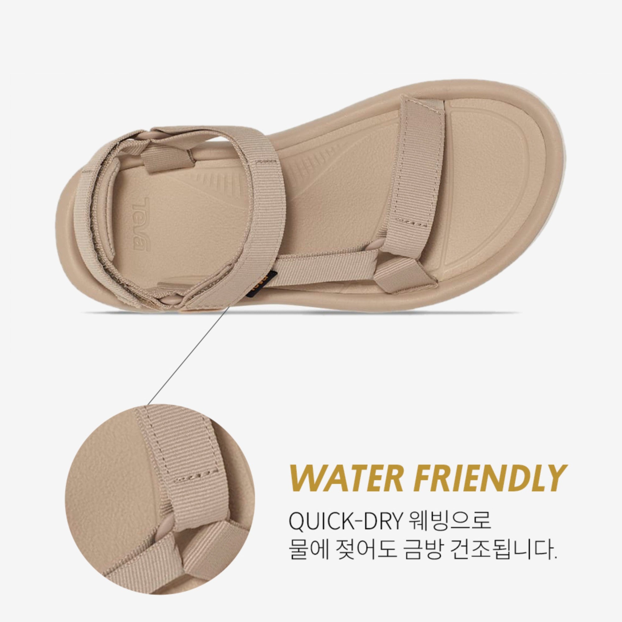 허리케인 XLT2 (SESAME)