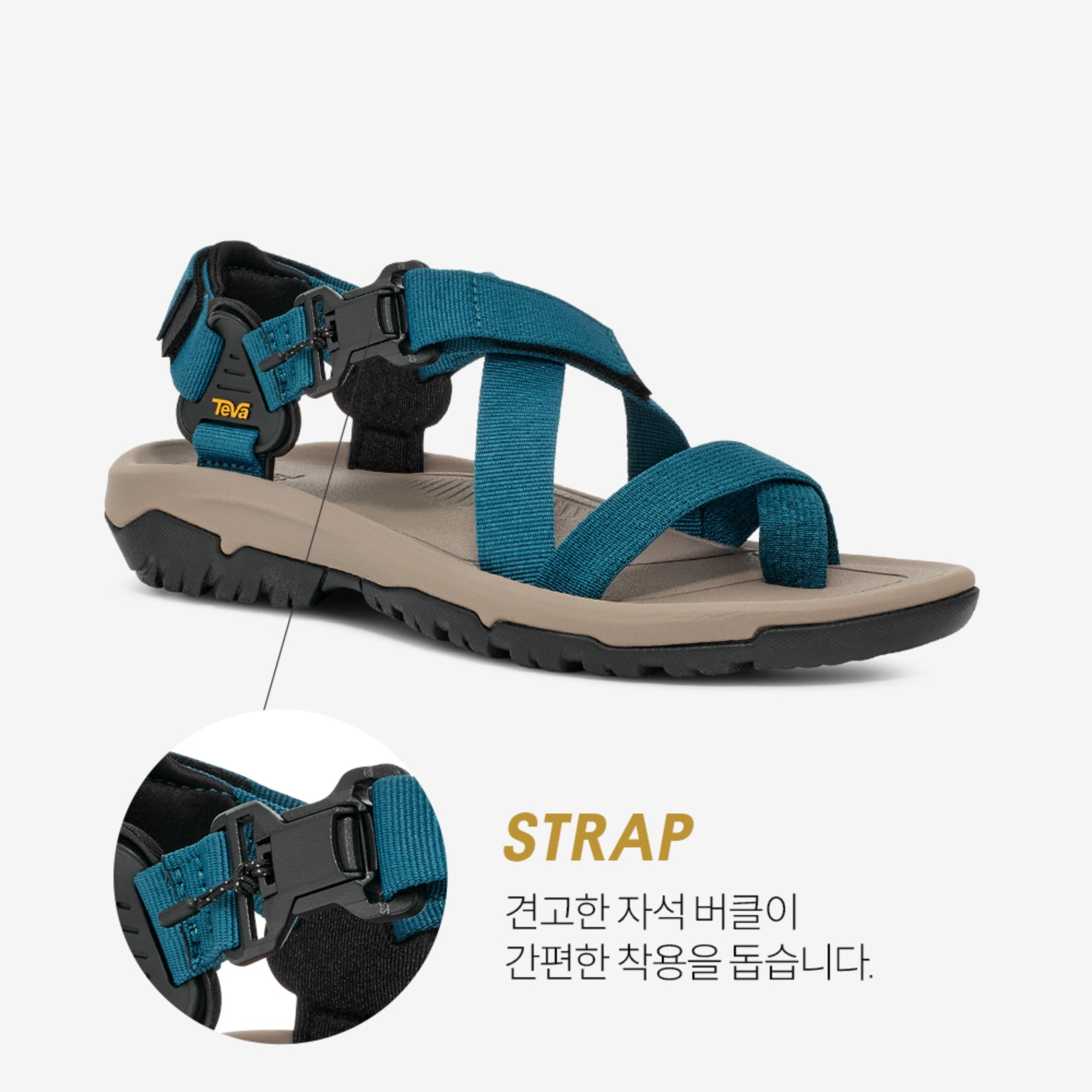 허리케인 테라 닥틸 (BLUE CORAL)