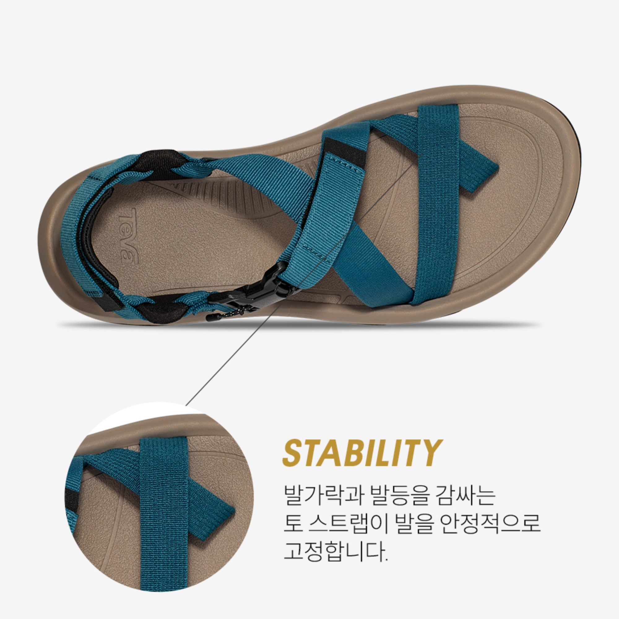 허리케인 테라 닥틸 (BLUE CORAL)