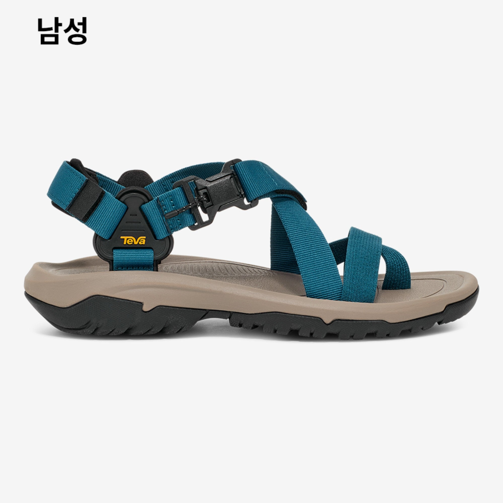 허리케인 테라 닥틸 (BLUE CORAL)