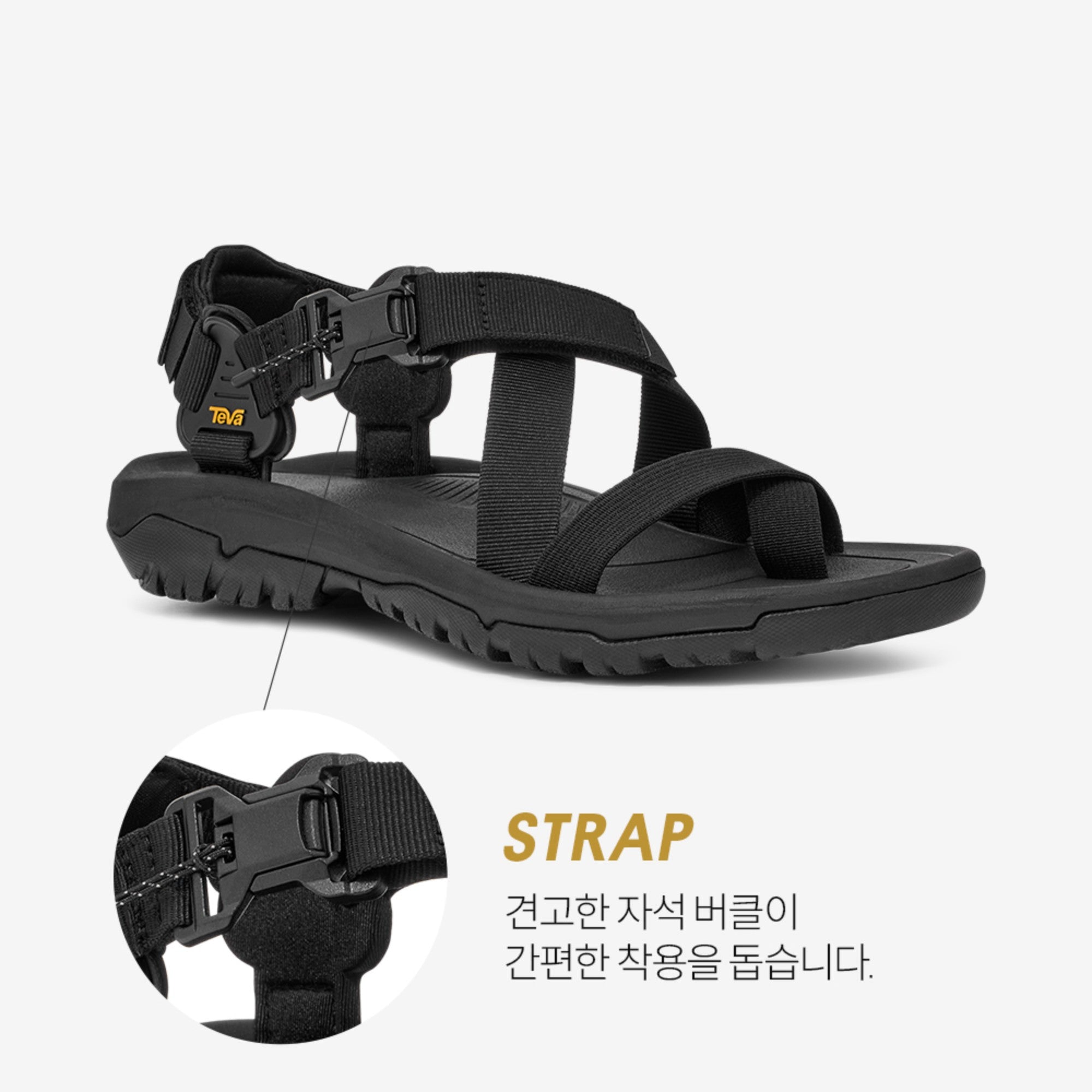 허리케인 테라 닥틸 (BLACK)