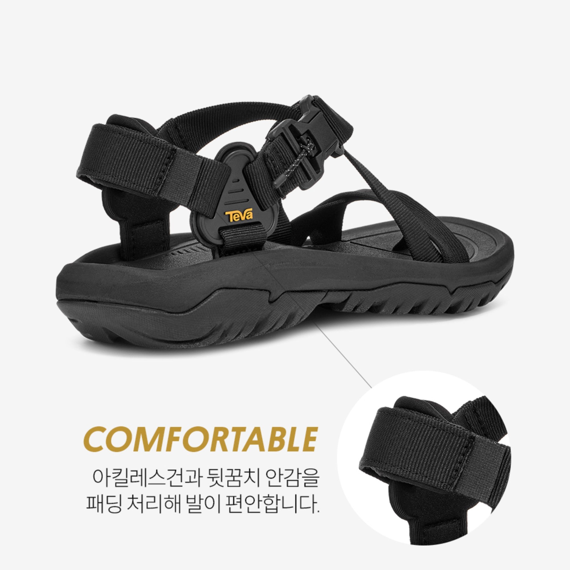 허리케인 테라 닥틸 (BLACK)